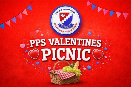 PPS VALENTINES PICNIC